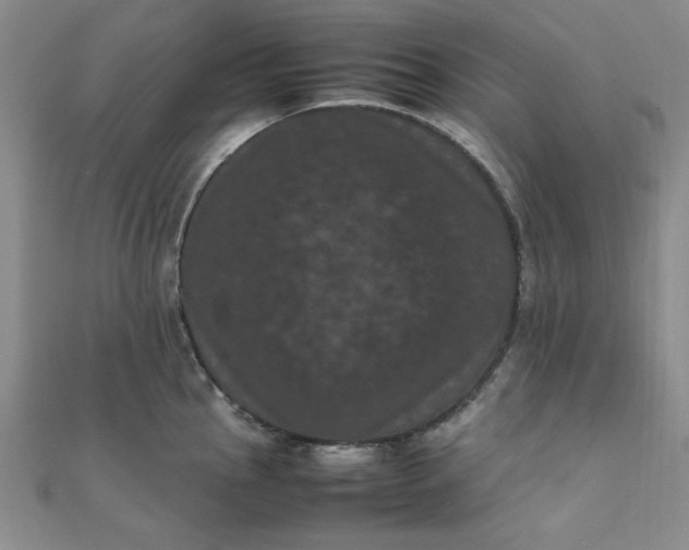 X0000111661145200907311133