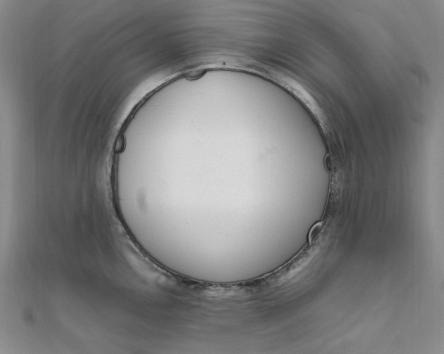 X0000111661146200907311133