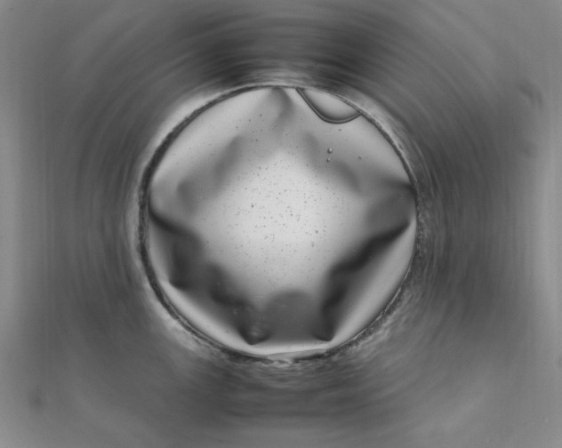 X0000111661147200907311133