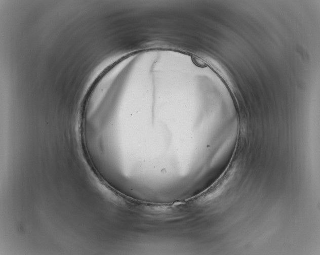 X0000111661149200907311133