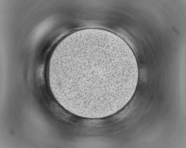 X0000111661150200907311133