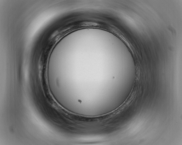 X0000111661151200907311133