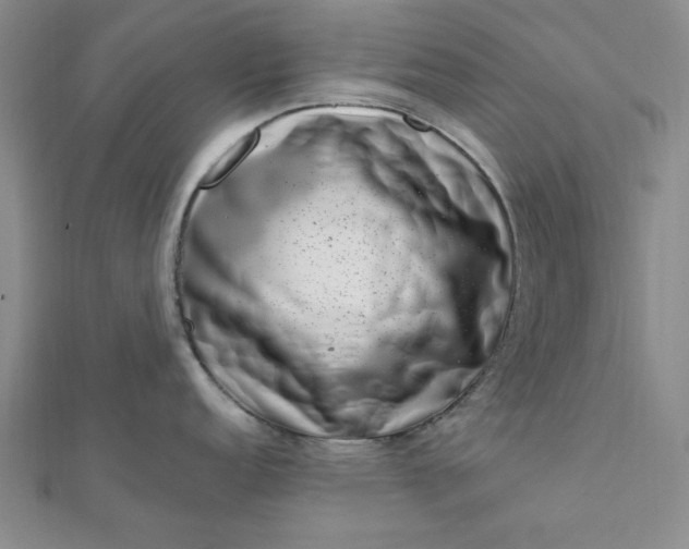 X0000111661152200907311133