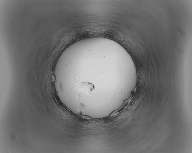 X0000111661153200907311132