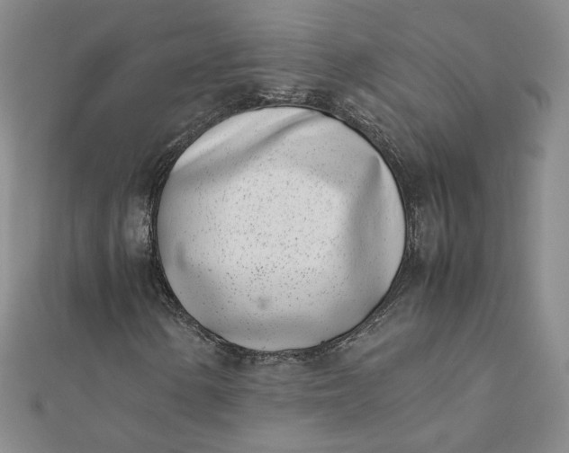 X0000111661154200907311132