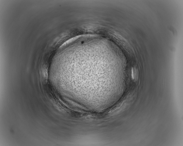 X0000111661155200907311132