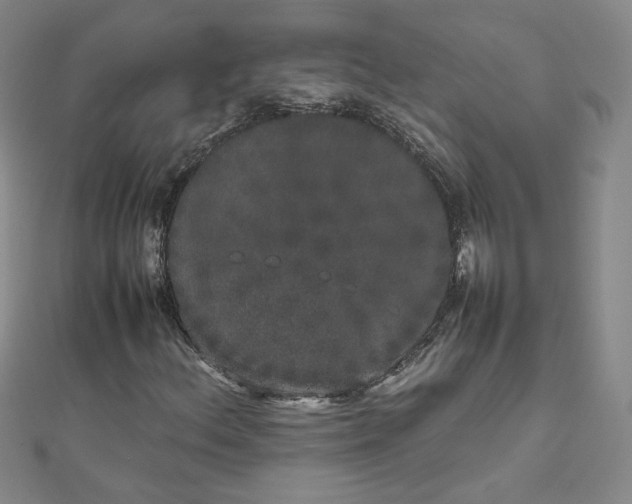 X0000111661156200907311132