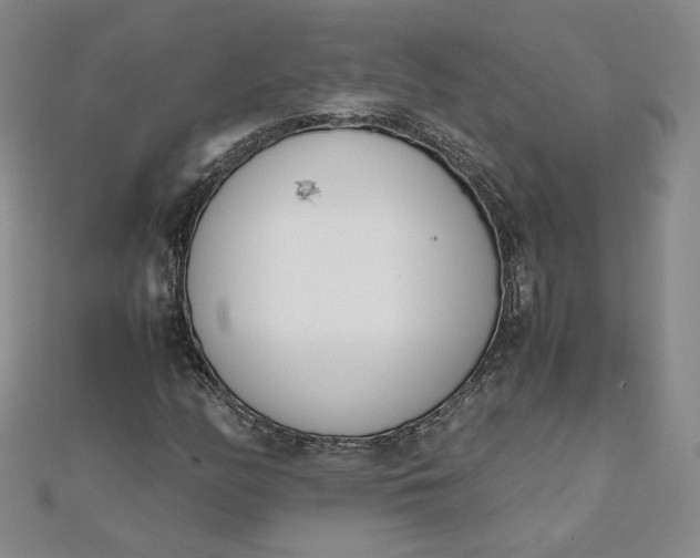 X0000111661158200907311132