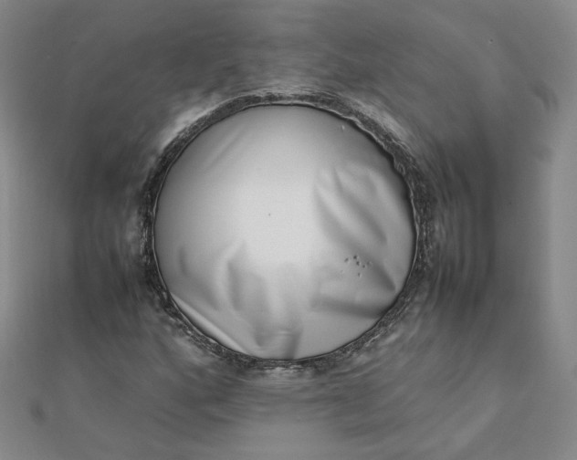 X0000111661160200907311132