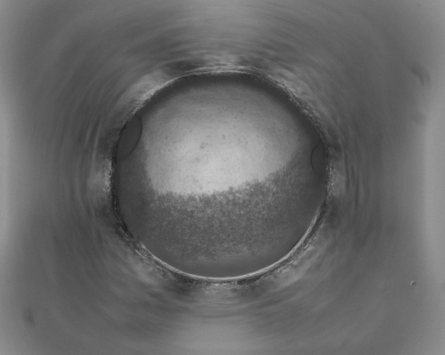 X0000111661161200907311132