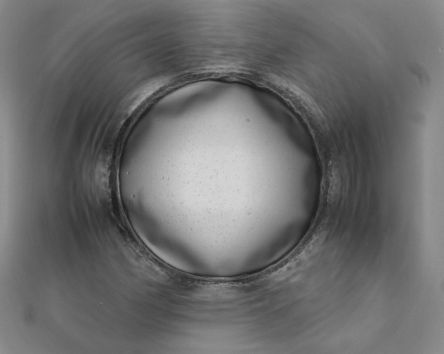 X0000111661162200907311132