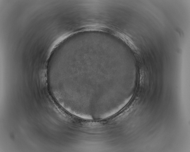 X0000111661164200907311132