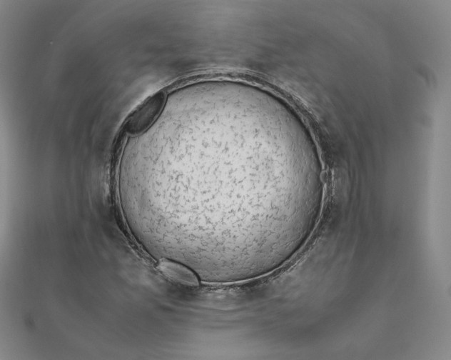 X0000111661165200907311132