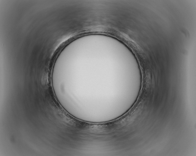 X0000111661166200907311132