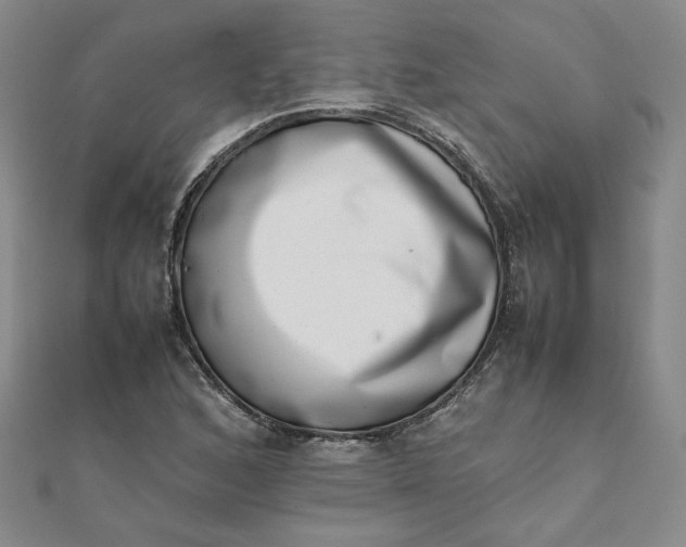 X0000111661168200907311132