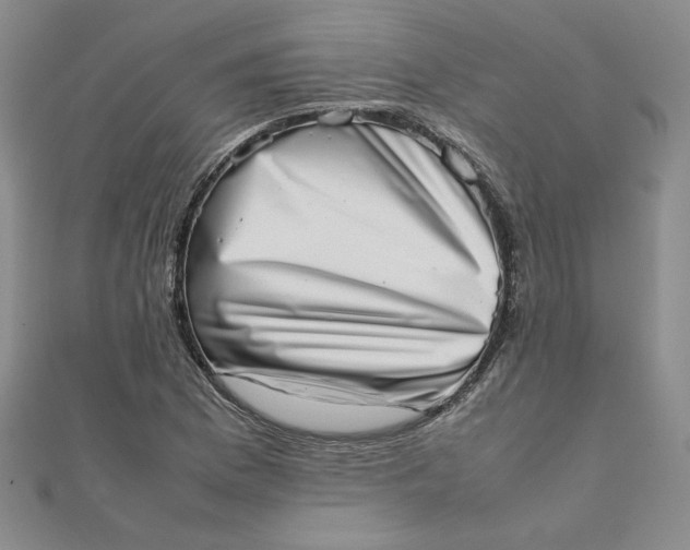 X0000111661169200907311132