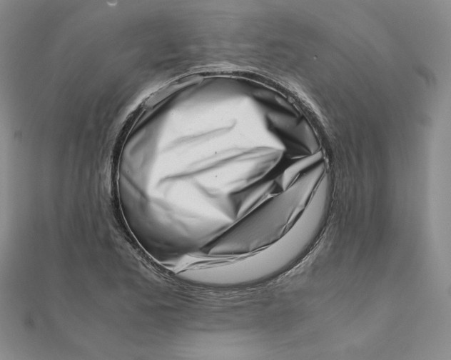 X0000111661173200907311132