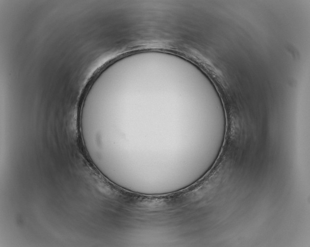 X0000111661174200907311132