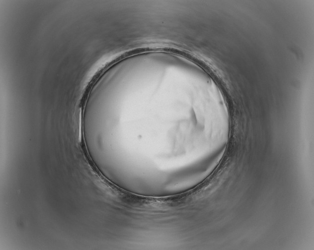 X0000111661175200907311132