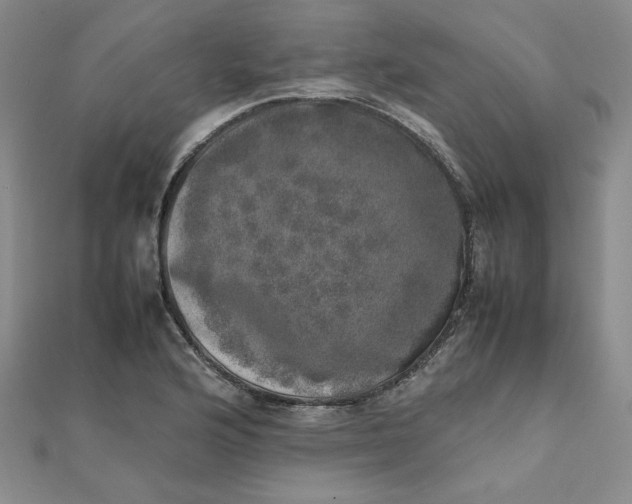 X0000111661176200907311132