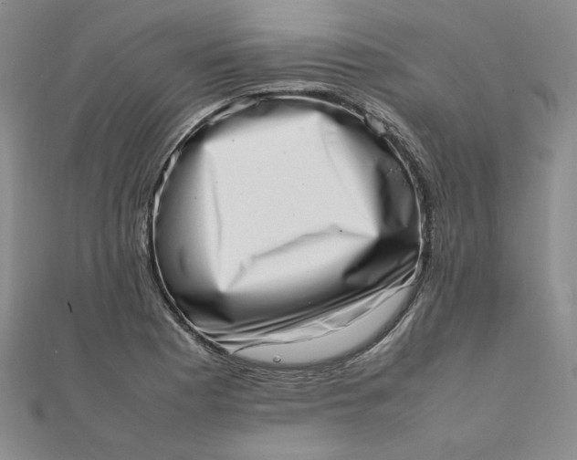 X0000111661177200907311132