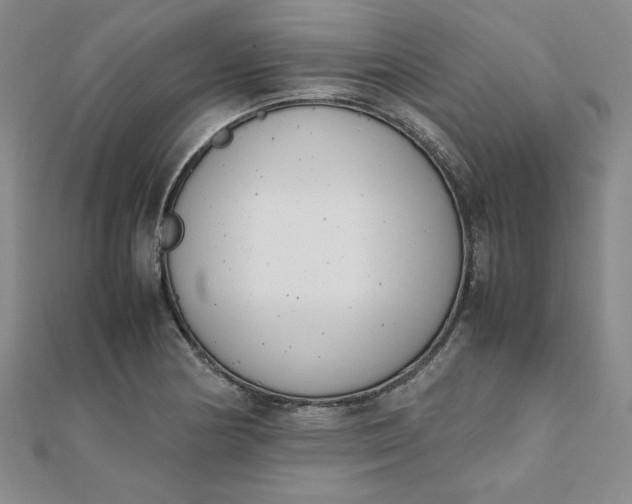 X0000111661178200907311132