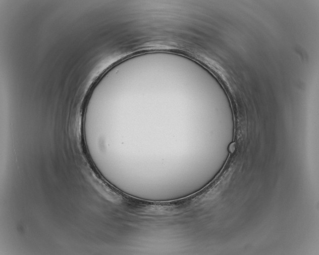 X0000111661179200907311132