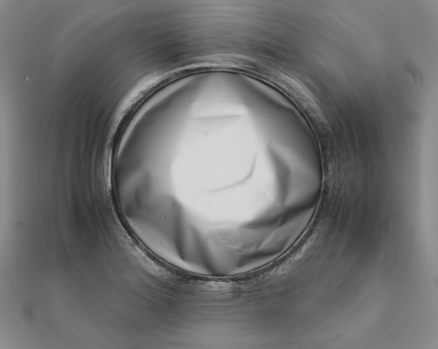 X0000111661180200907311132