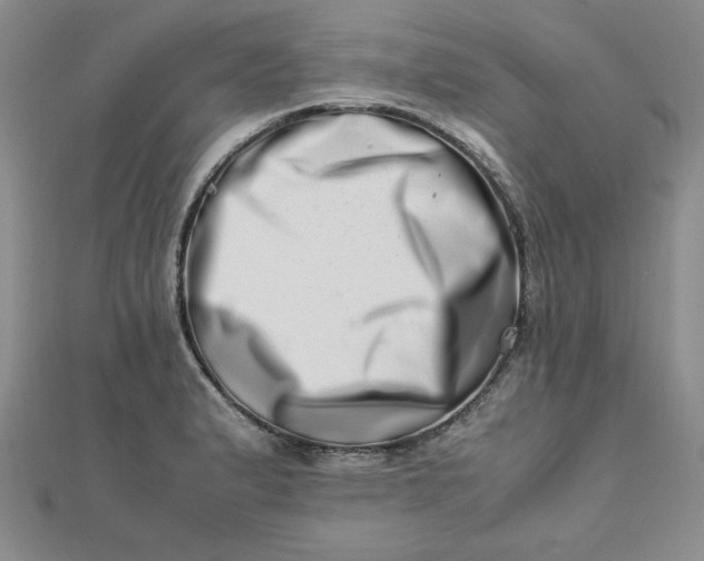 X0000111661183200907311132