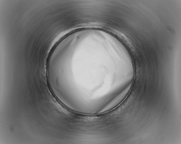 X0000111661184200907311132