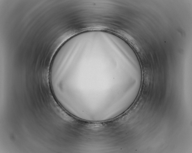 X0000111661186200907311132