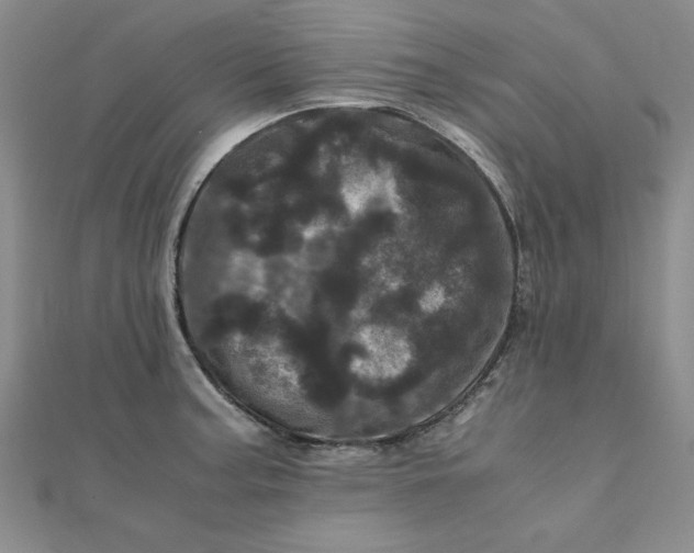 X0000111661187200907311132