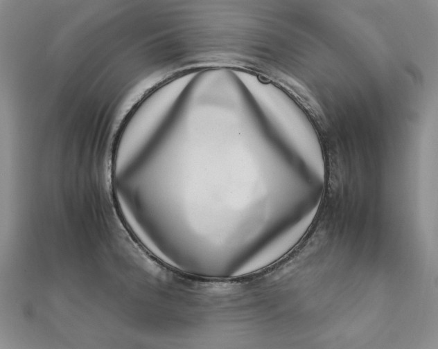 X0000111661188200907311132