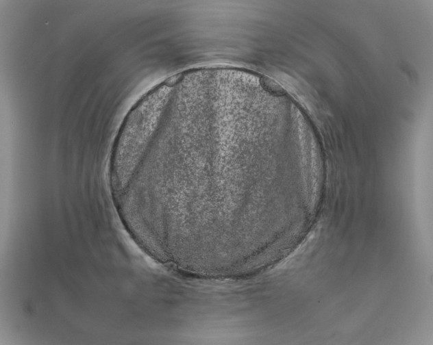 X0000111661189200907311132