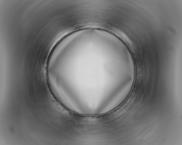 X0000111661190200907311132