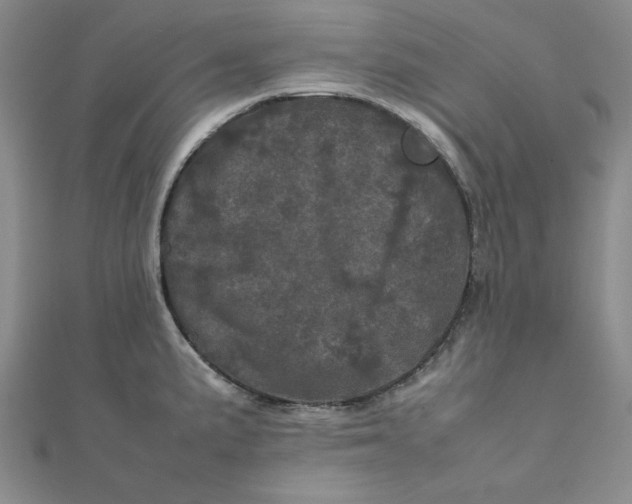 X0000111661191200907311132