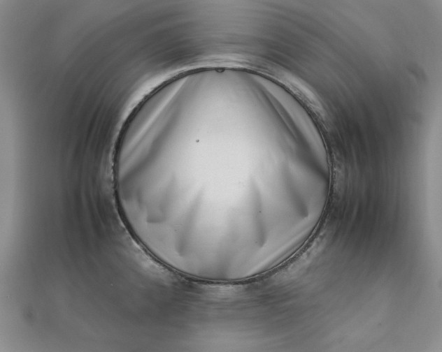 X0000111661192200907311132