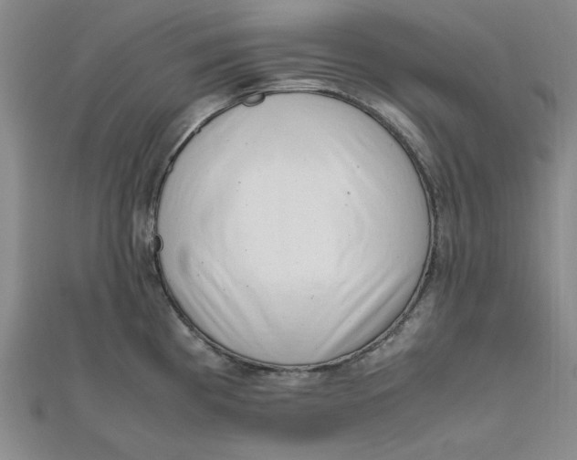 X0000111661193200907311132