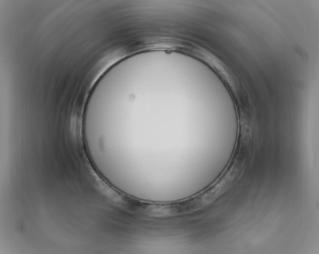 X0000111661194200907311132