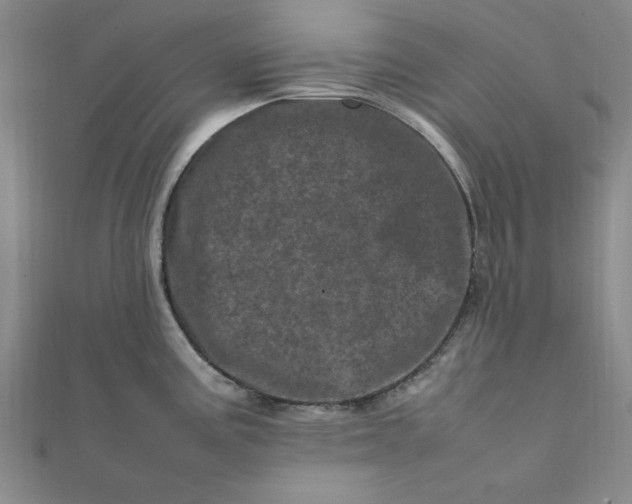 X0000111661195200907311132