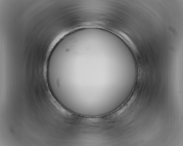 X0000111661196200907311132