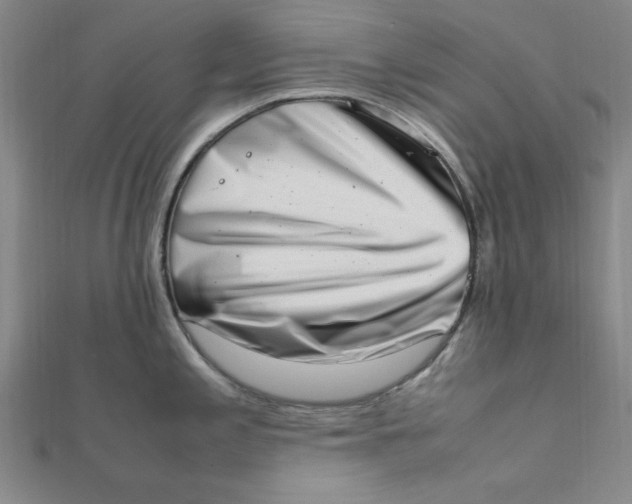 X0000111661197200907311132