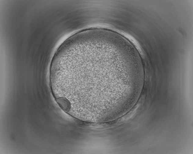 X0000111661199200907311132