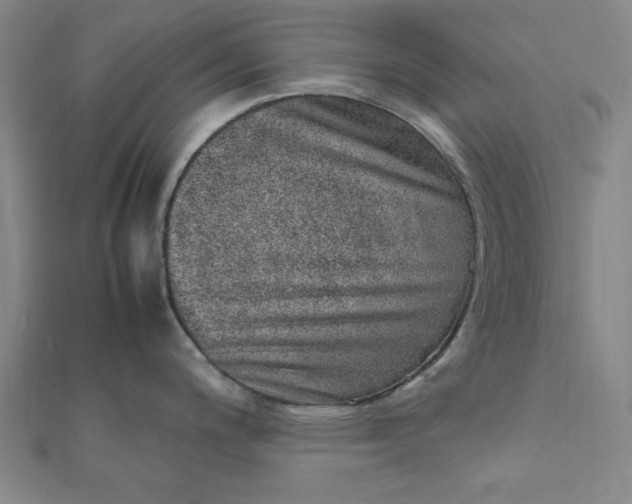 X0000111661200200907311132