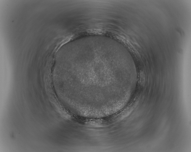 X0000111661201200907311131