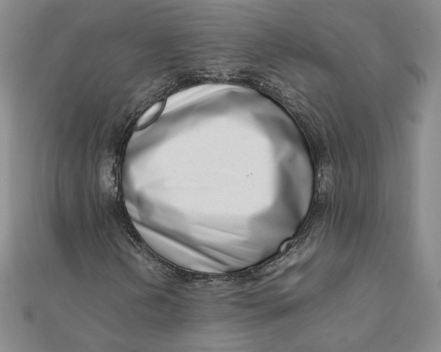 X0000111661202200907311131