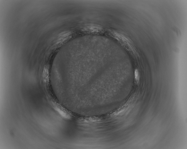 X0000111661203200907311131