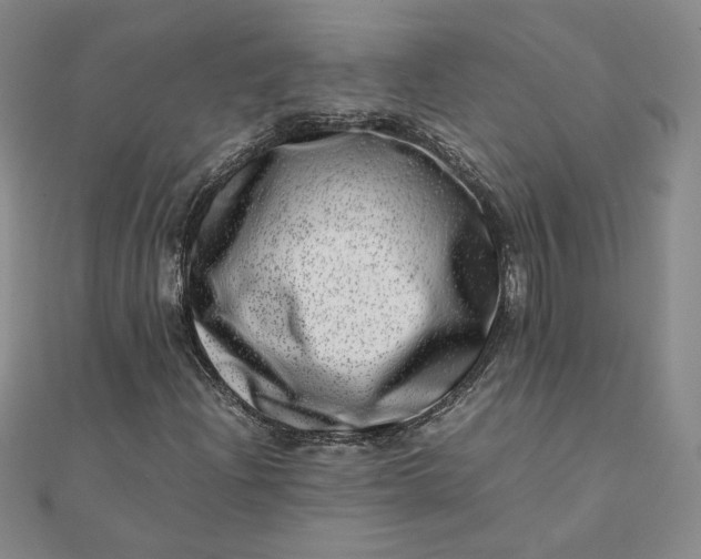 X0000111661204200907311131