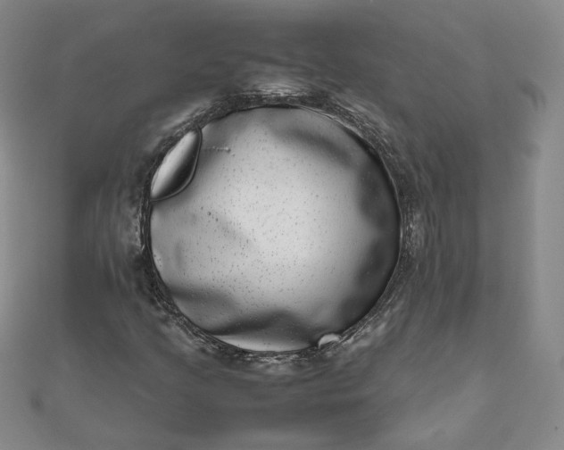 X0000111661205200907311131