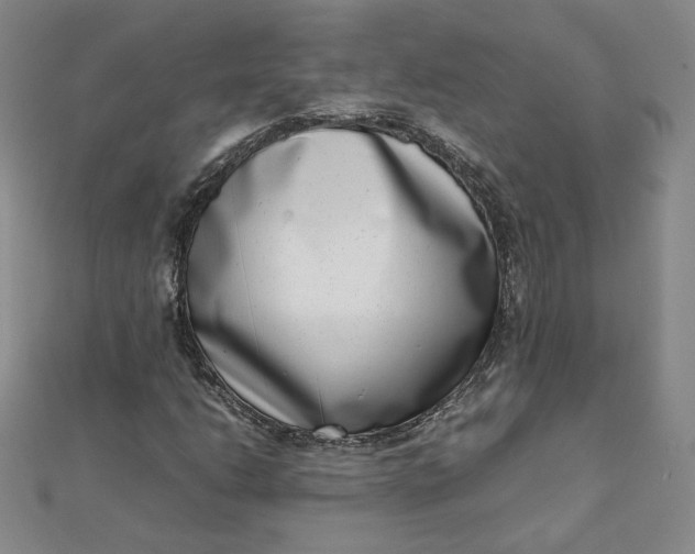 X0000111661206200907311131